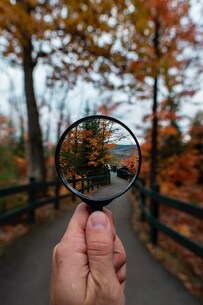 Hand holding a magnifying glass to get a closer look at autumn trees with orange leaves - a copy edit reviews the mechanics of words and sentences to polish your prose.