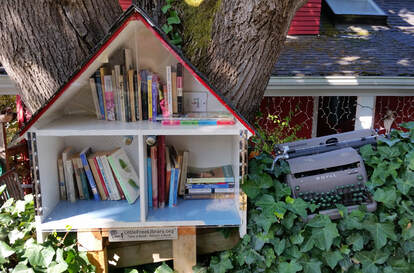Little Free Library with typewriter in the bushes. Photo by Lynn Post